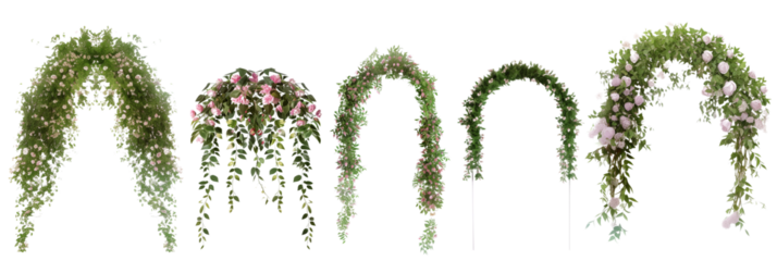 set of floral arches, each adorned with cascading blossoms and verdant leaves, isolated on transparent background