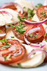 Summer Salad with Mozzarella Cheese, Tomatoes and red Onion. Close up.	