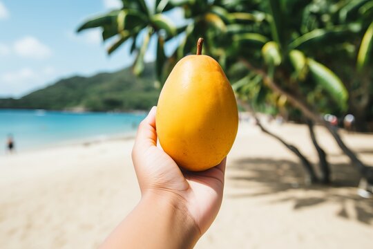 Hand holding a nispero (sapodilla) fruit on the beach