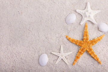 Fototapeta na wymiar Border with yellow star fish and seashells on white sand.