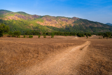 Rugged trail winds through a dry grassy field towards lush green mountains under a clear blue sky
