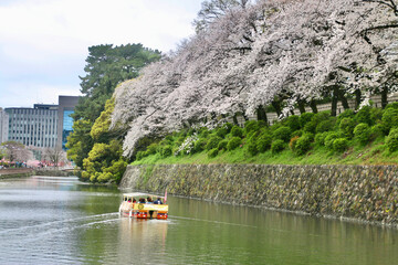 駿府城・観光船・葵船・駿府城公園（静岡県・静岡市）