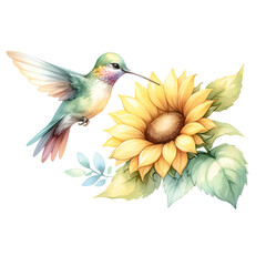 Obraz premium Hummingbird Pollinating Bright Sunflower Illustration