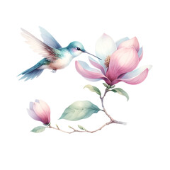 Hummingbird in Flight Near Magnolia Branch Illustration
