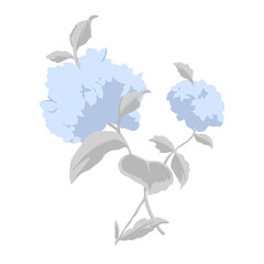 Obraz premium hydrangea flower painting illustration