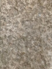 gray cement texture for background