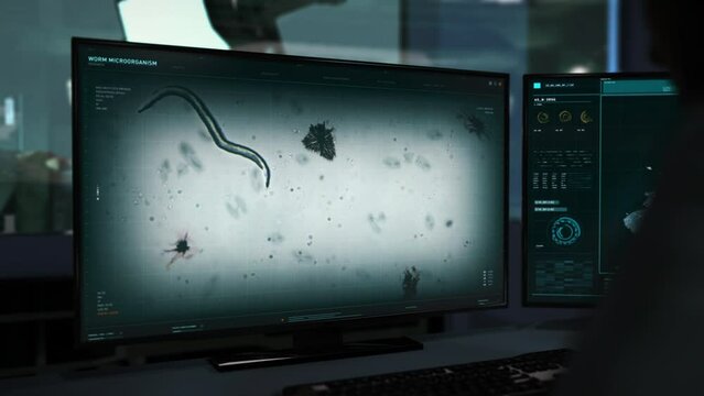Doctor is looking at the scan of the worm cell on the computer screen. Doctor is studying the scan of the worm microorganism at the laboratory. Doctor is inspecting the scan of the worm. Microbiology.