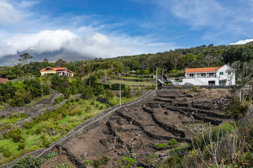 Azores. Pico Island. Beautiful landscape. Volcano Pico in the clouds. The vineyards are fenced with...