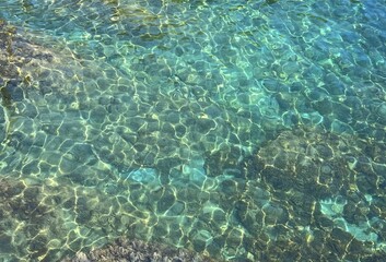 Wonderful sea water with algae.