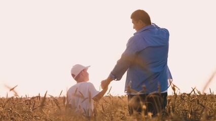 Family son and father holding hands walking together at sunlight wheat field back view. Man parent...
