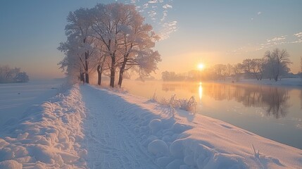 Snowy Winter Landscape at Dawn with Soft Morning Light.