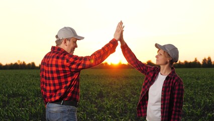 Man and woman agronomist colleagues discuss cultivation hitting hands at corn field closeup. Two...