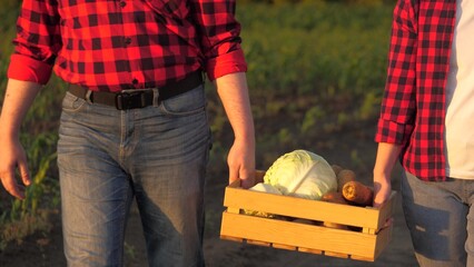 Two unrecognizable farmer carrying crate with organic vegetable harvest closeup slowmo. Man and...