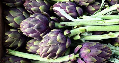 Artichoke, with its robust, spiky leaves, conceals a tender heart, prized for its delicate flavor...