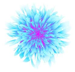 A bright flower similar to a chrysanthemum. It is depicted preferably in turquoise and purple colors with a gradient effect creating a captivating visual appeal, detailed layers of petals