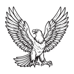 Fototapeta premium Line art of eagle spreading wings vector
