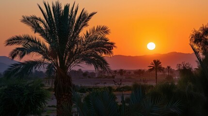 Obraz premium As the sun sets over the desert the only sounds heard are the gentle rustling of palm leaves and the soothing chirping of crickets. 2d flat cartoon.