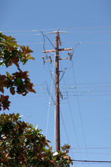 Tall electricity distribution pylon and power lines and a tree under blue sky