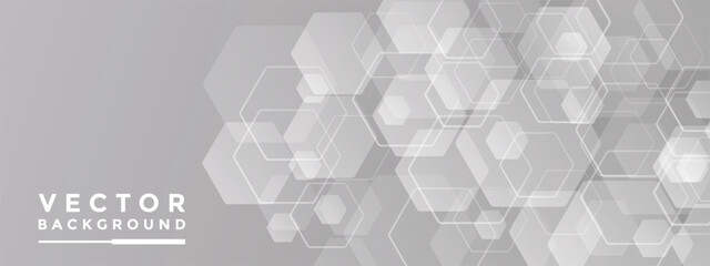 Background Gray hexagon pattern look like honeycomb vector illustration lighting effect graphic for text and message board design infographic