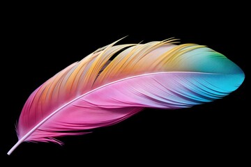 Iridescent Exotic Bird Feather Gradients: Artistry in Motion