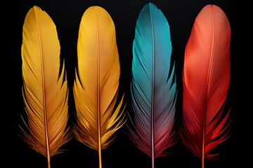 Exotic Bird Feather Gradients: Shimmering Tones of Elegance