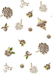 Textile and digital seamless pattern design 