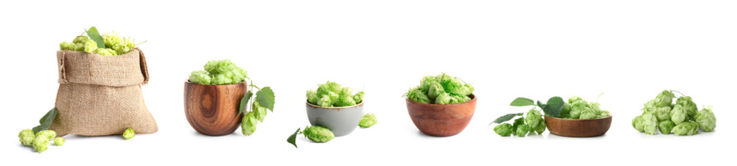 Collage of fresh green hopes in bowls and bag on white background