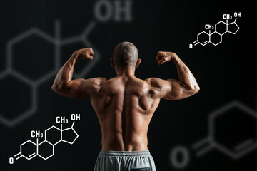 Male bodybuilder on dark background, back view