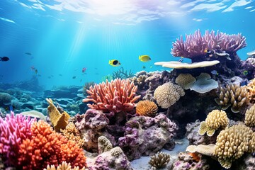 Naklejka na ściany i meble Underwater Reef Coral Gradients: A Symphony of Biodiversity Color Wash