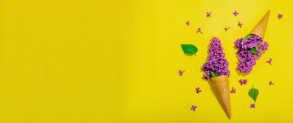 Violet lilac flowers in waffle ice cream cones on purple background. Flat lay, spring concept