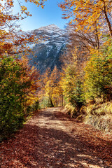 Otoño en el Valle de La Pineta