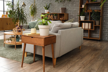 Green plant with book on table in living room interior