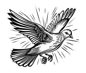 pigeon engraving black and white outline
