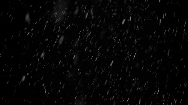 Snow on black background, falling snowflakes, snowing, natural snowfall backdrop for overlay effect.
