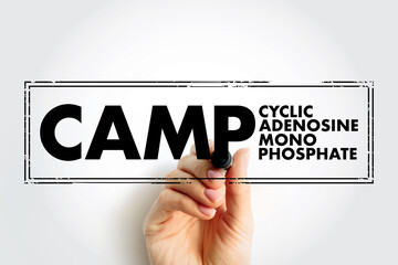CAMP Cyclic Adenosine MonoPhosphate - second messenger important in many biological processes, stamp acronym text concept background - 796215472