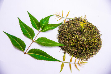 Close up top view of Indian ayurvedic herb Neem /Azadirachta Indica green leaves on white background with dry powder in glass dish with selective focus.Medicinal Neem leaves with neem paste in spoon 
