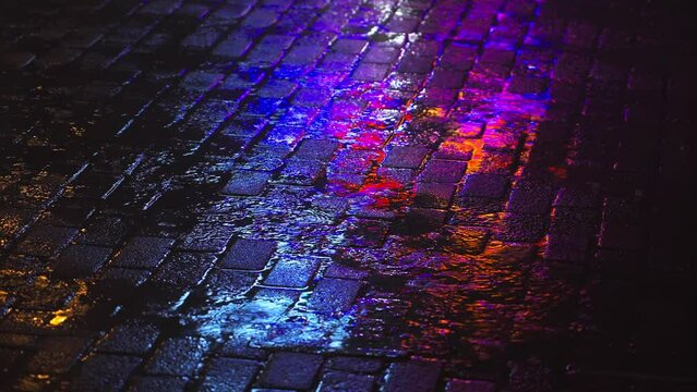 Night Wet Pavement Neon Reflection