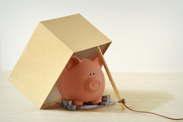 Piggy bank in box trap - Financial scam traps concept