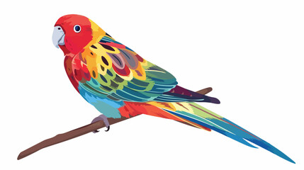 Eastern rosella cute colorful parrot. Exotic tropical