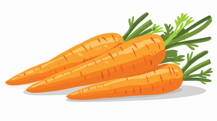 Ripe carrots on white background Vectot style vector