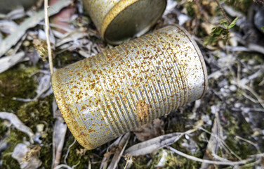 Rusty can in nature