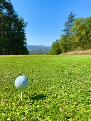 golf ball on tee