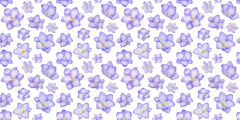 Watercolor seamless pattern with freesia flowers on white. Hand drawn color repeat backdrop, violet endless background