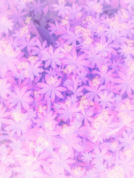 abstract floral background