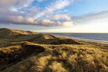Dunes in Schoorl, North Holland landscape, seaside climate.
