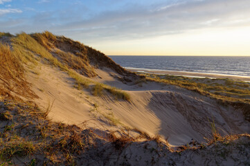 Dunes in Schoorl, North Holland landscape, seaside climate.