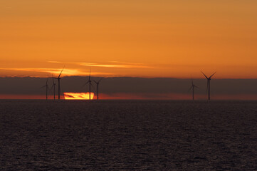 Wind farm on the sea at sunset. North Holland,