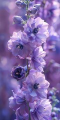 Lilac Delphinium: A Stunning Purple Flower for Floral Decoration, Closeup Shot of Tall and Large