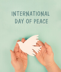 Dove flying from hand, international peace day,  faith, freedom, charity and help concept,...