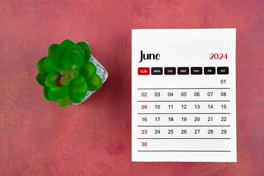 Calendar page for June 2024 and houseplant on retro background.